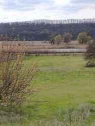 ������ ������ ��� � ������� �������� 300 ������ ����� �.����� �.������ ���� 4