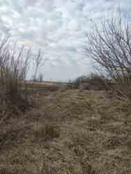 Продам участок с домом под снос Андреевка фото 2 Продам участок с домом под снос Андреевка фото 2