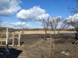 Продам дом село Задонецкое Змиевской район фото 3 Продам дом село Задонецкое Змиевской район фото 3