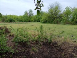 ������ ������ ����� � ���� ������� ��������� ����� ���� 17