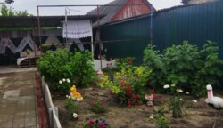 ������ ������� � �.�쳿� ���� 2