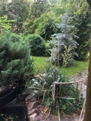 Продам дом поселок Хорошево Харьковский район фото 16 Продам дом поселок Хорошево Харьковский район фото 16