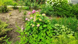 ������ ��������� ���� �.������� �쳿������ ����� ���� 13