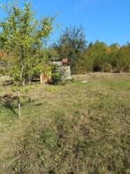 ������ ���� � ���� ���������� ���� 14