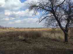 ������ ������� �� ���������� ������� ���� ���������� ��������� ����� ���� 3