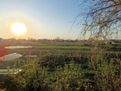 Продам прекрасный , ухоженный дом в поселке Лиман Змиевской район фото 5 Продам прекрасный , ухоженный дом в поселке Лиман Змиевской район фото 5