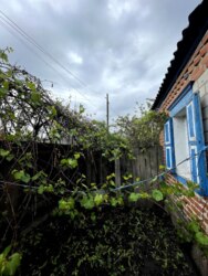 ������ ������ ����� � ���� ������� ��������� ����� ���� 1