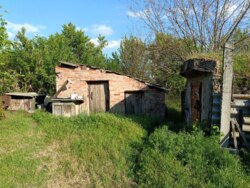 ������ ��� � ������ ���� 8