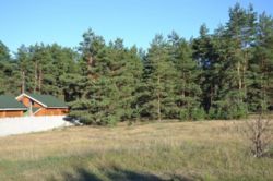 ������ ��� � ��������� ���� �.���������� ����������� ������� ���� 3