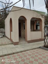 ������ ���-���� ����� �. �������� ���� 15