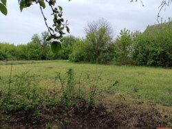 ������ ������ ����� � ���� ������� ��������� ����� ���� 18