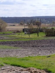 ������ ������ ��� � ������� �������� 300 ������ ����� �.����� �.������ ���� 17