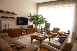   !    !    !   !    !     ! 