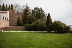   !    !    !   !    !     ! 