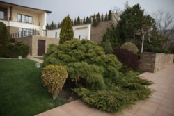   !    !    !   !    !     ! 