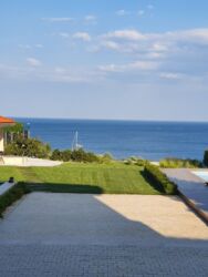   !    !    !   !    !     ! 