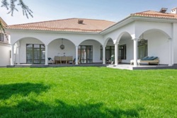 ��������� ��� ��������, ������, ��������, ��������-�������� ���� 31