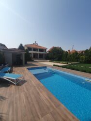   !    !    !   !    !     ! 