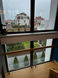 ���������� ���� ������������ ����