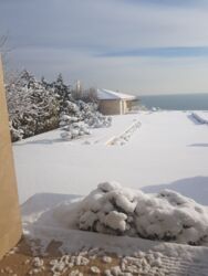   !    !    !   !    !     ! 