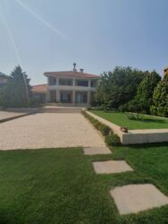   !    !    !   !    !     ! 