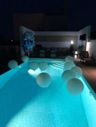 ���� ������� ����� ��������