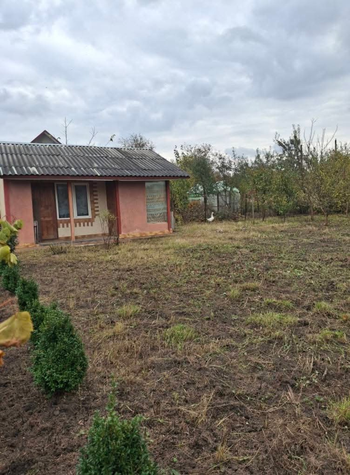 ��������� ������� �����������, ����������������, �������� ���� 1