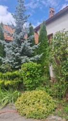   , ,   53
