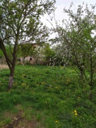 ��������� ������� ������, ����������������, �������� ���� 4