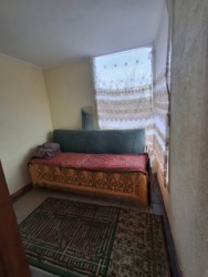 ��������� ������� �����������, ����������������, �������� ���� 20