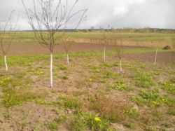 Увага! Будинок біля Буська! фото 12 Увага! Будинок біля Буська! фото 12