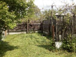 ��������� ������� ����� �������, �����������, ����������������, �������� ���� 2