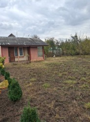 ��������� ������� �����������, ����������������, �������� ���� 1