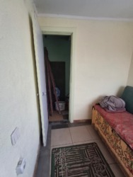 ��������� ������� �����������, ����������������, �������� ���� 24