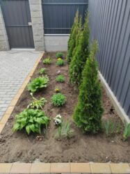 ��� ��������! ��������� ���-������� 115 �2 � �������� 3 ����� ���� 11