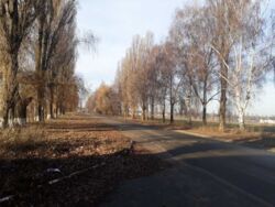 ��� ��������! ��������� ��������-������� 167�2 10 ����� �� �. ������������� ���� 5