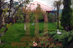   , , ,   19