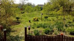 Продається будинок Київська, Бориспільський, Старе фото 9 Продається будинок Київська, Бориспільський, Старе фото 9