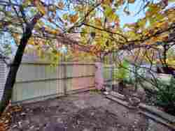 ��������� ������� �������, �������������, ��������, �� ������� ���� 14