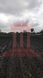 Продається будинок Київська, Бориспільський, Глибоке, Вишневая фото 5 Продається будинок Київська, Бориспільський, Глибоке, Вишневая фото 5