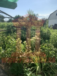 Продається будинок Київська, Бориспільський, Ревне фото 13 Продається будинок Київська, Бориспільський, Ревне фото 13