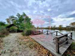 ��������� ������� �������, �������������, ��������, �� ������� ���� 18