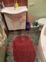 Продається будинок Київська, Бориспільський, Ревне фото 17 Продається будинок Київська, Бориспільський, Ревне фото 17