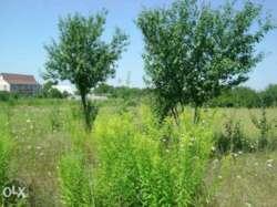 Продається будинок Київська, Бориспільський, Городище фото 3 Продається будинок Київська, Бориспільський, Городище фото 3