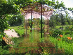 Продається будинок Київська, Бориспільський, Рогозов фото 18 Продається будинок Київська, Бориспільський, Рогозов фото 18