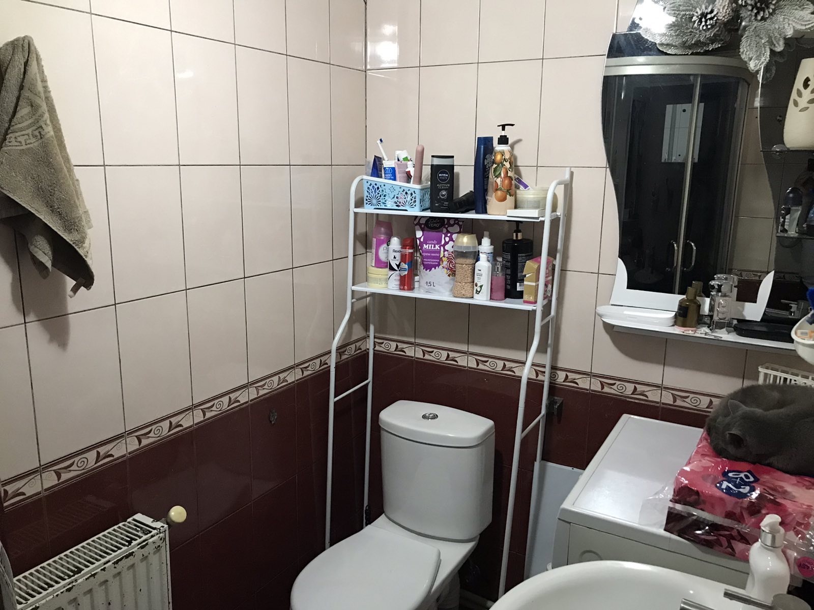 ������� � ����� ������ ���� 1