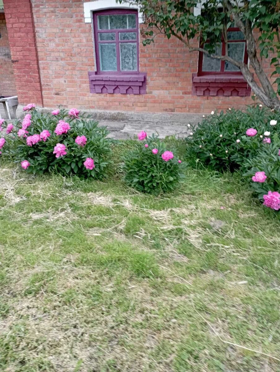 Продається будинок із земельною ділянкою у м. Вінниця. фото 1 Продається будинок із земельною ділянкою у м. Вінниця. фото 1