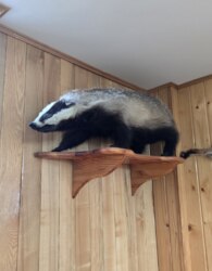 Продаж 3 поверхового будинку з опаленням і ділянкою на 2.5 сотки фото 7 Продаж 3 поверхового будинку з опаленням і ділянкою на 2.5 сотки фото 7