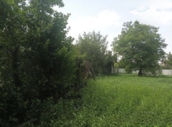 ��������� ������� ³�������, ³�����, �����������, �����, �������� ���� 10