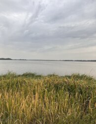 Затишний дачний будинок з виглядом на ліс 🌳 фото 6 Затишний дачний будинок з виглядом на ліс 🌳 фото 6